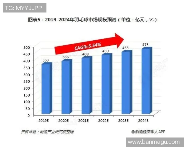 重庆羽毛球队技术表现的深度数据分析与发展趋势探讨