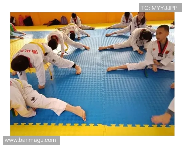 专访李静：探寻她在网球领域取得成功的秘诀与心路历程