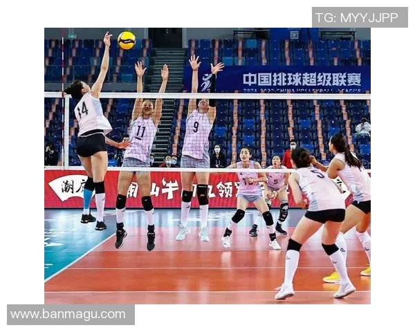 从零起步掌握排球灵活性技巧全攻略助你成为场上明星